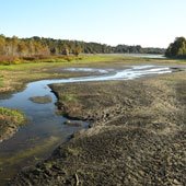 Low water levels at Alligator Lake in Columbia County