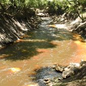 The dark brown river of Dead River flows into the Dead River Sink