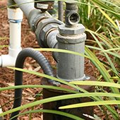 Domestic self supply well with vegetation surrounding it.