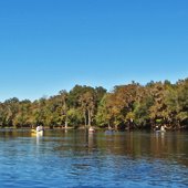 Kayaking on the blue and brown water of the Santa Fe River on a clear, sunny day.