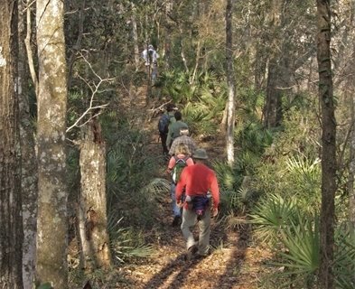 A group of hikers walking up a hill in the woods.