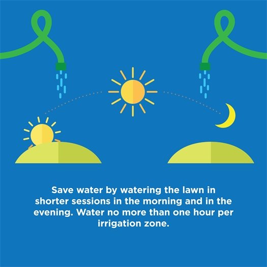 Save water by watering the lawn in shorter sessions in the morning and in the evening.