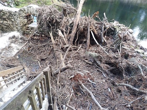 Sediment and debris pile up in a springhouse