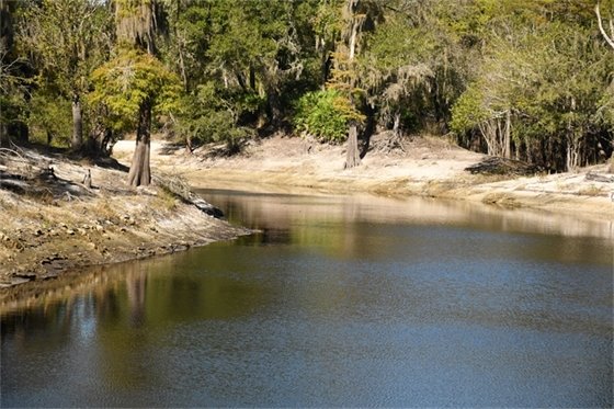 The upper Suwannee River looping around the corner with sandy banks and mature trees along the edges.