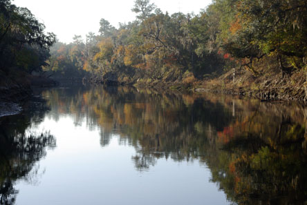 Middle Suwannee River
