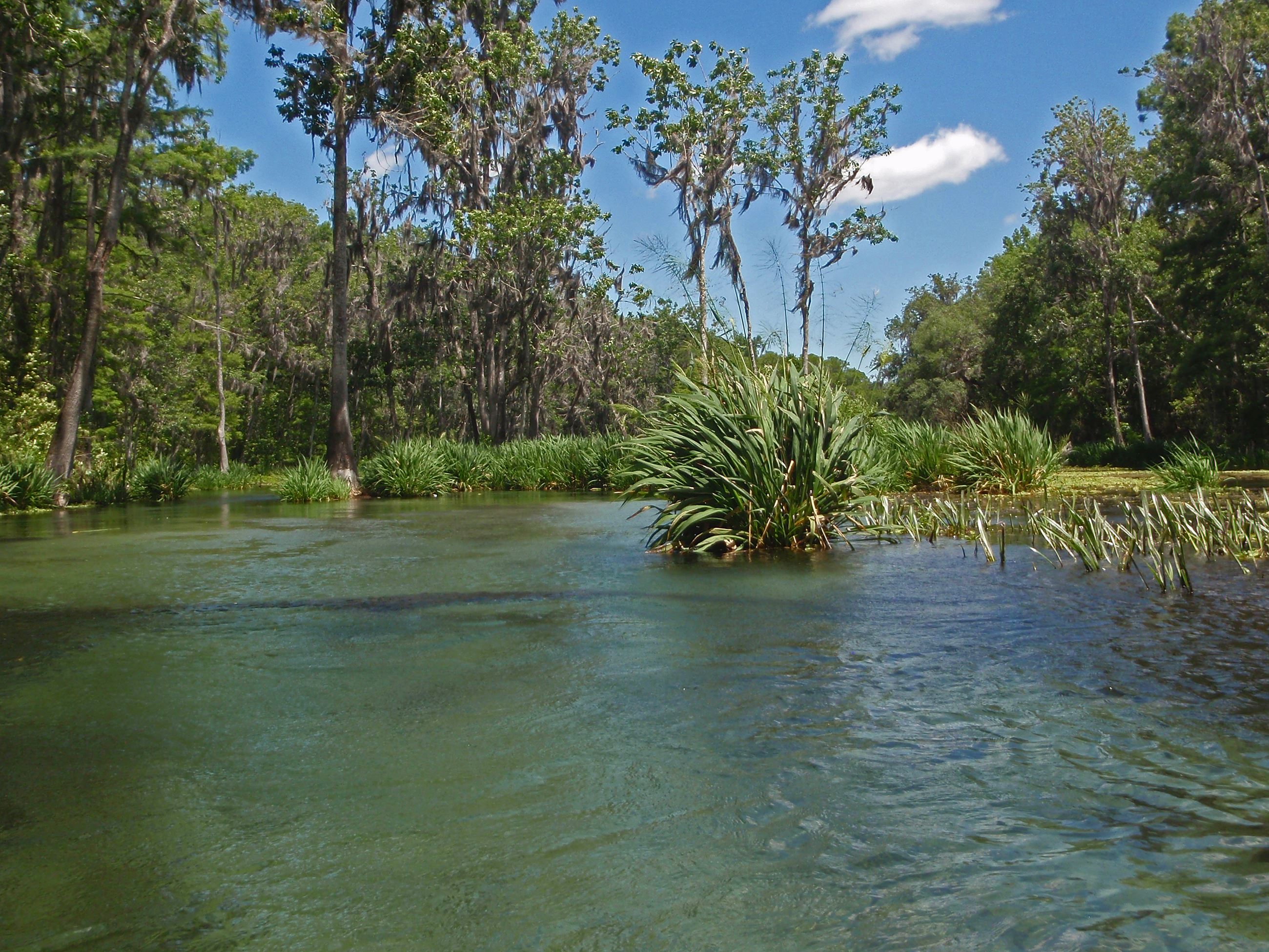 Ichetucknee River