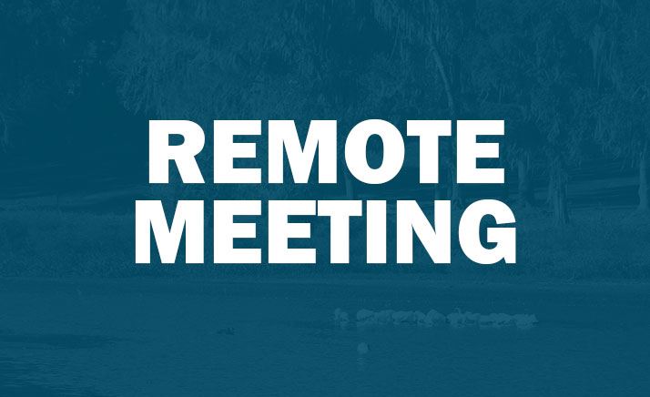 remote-meeting