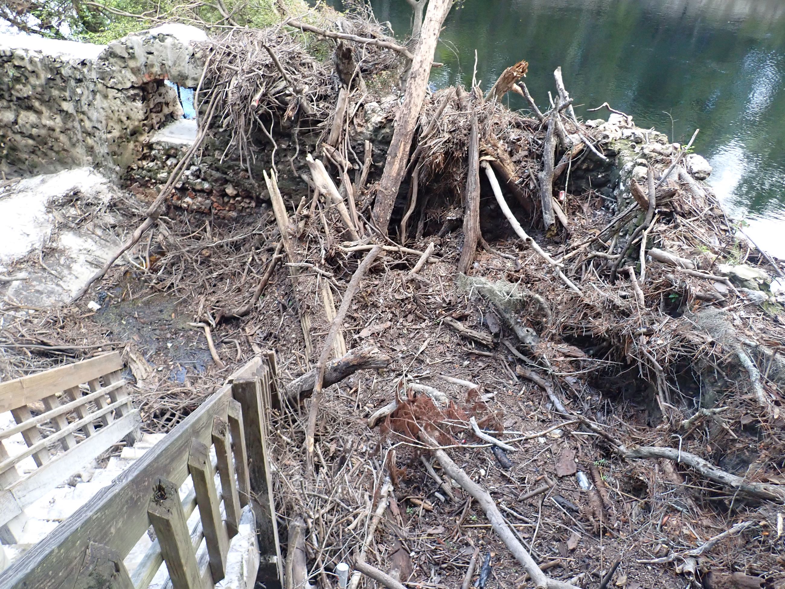 Debris and Sediment at Suwannee Springs