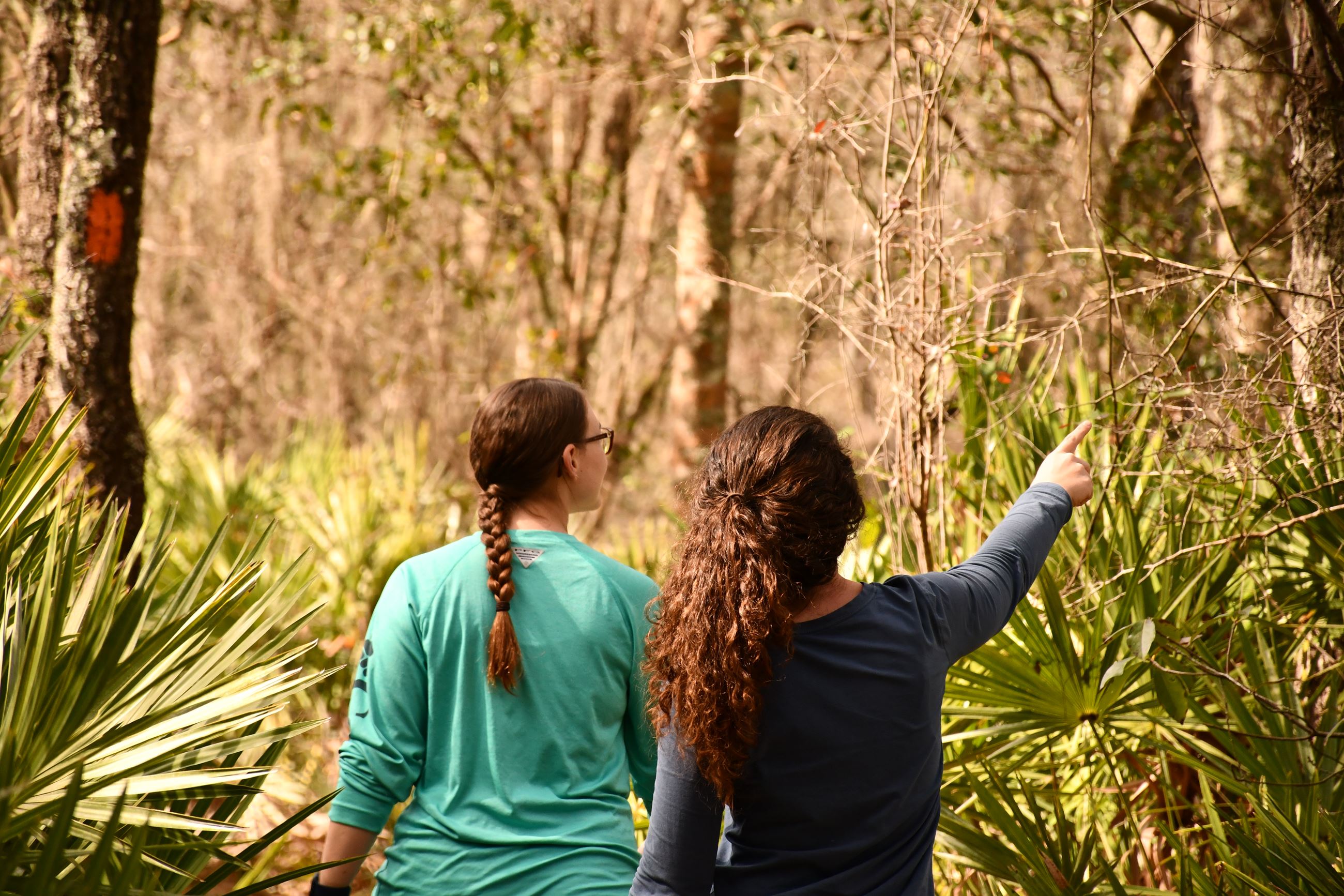 Two people hiking through a wooded area with one person pointing.